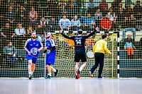 Bild: Erfolgreiches Handball-Wochenende