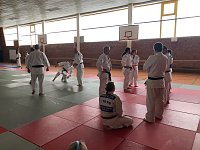 Bild: Sechs Judokas beim Kata-Seminar