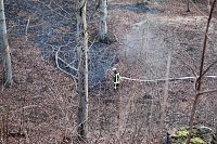 Bild: Fl&auml;chenbrand bei Gro&szlig;lohra