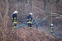 Bild: Fl&auml;chenbrand bei Gro&szlig;lohra