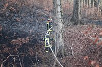 Bild: Fl&auml;chenbrand bei Gro&szlig;lohra