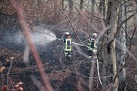 Bild: Fl&auml;chenbrand bei Gro&szlig;lohra
