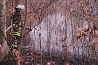 Bild: Fl&auml;chenbrand bei Gro&szlig;lohra