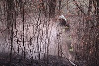 Bild: Fl&auml;chenbrand bei Gro&szlig;lohra