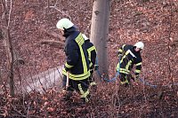 Bild: Fl&auml;chenbrand bei Gro&szlig;lohra