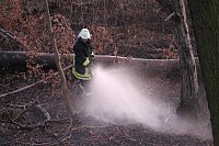 Bild: Fl&auml;chenbrand bei Gro&szlig;lohra