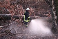 Bild: Fl&auml;chenbrand bei Gro&szlig;lohra