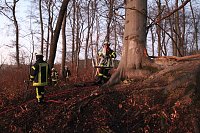 Bild: Fl&auml;chenbrand bei Gro&szlig;lohra