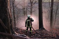 Bild: Fl&auml;chenbrand bei Gro&szlig;lohra