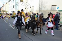 Bild: Der Rosenmontagsumzug in Sondershausen (1)