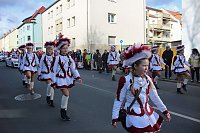 Bild: Der Rosenmontagsumzug in Sondershausen (1)