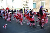 Bild: Der Rosenmontagsumzug in Sondershausen (1)
