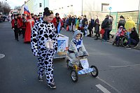 Bild: Der Rosenmontagsumzug in Sondershausen (2)