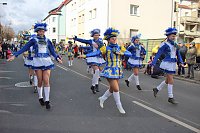 Bild: Der Rosenmontagsumzug in Sondershausen (2)