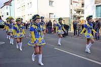 Bild: Der Rosenmontagsumzug in Sondershausen (2)