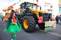 Bild: Der Rosenmontagsumzug in Sondershausen (2)