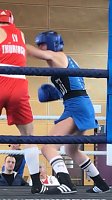 Bild: Bei den  30.Th&uuml;ringer Meisterschaften im olympischen Boxen, am letzten Wochenende in Bad Langensalza, erk&auml;mpften alle 5 Teilnehmer den Meistertitel. 