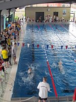 Bild: 19. Badehaus-Meisterschaft im Schwimmen