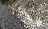 Bild: Der felsige Hang am 27.03.2019: Ein Teil des wei&szlig;en, der sch&uuml;tzenden Vegetationsdecke beraubten Gesteins ist bereits abgerutscht und zieht nun auch mit Vegetation bestandene Hangteile hinterher.