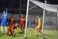 Bild: 4:1-Sieg gegen Viktoria