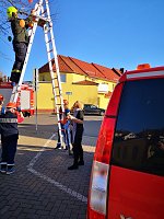 Bild: Geschm&uuml;ckt