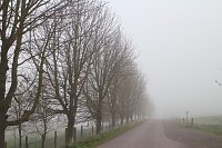Bild: Fr&uuml;hjahrswanderung bei Auleben