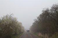 Bild: Fr&uuml;hjahrswanderung bei Auleben