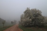 Bild: Fr&uuml;hjahrswanderung bei Auleben