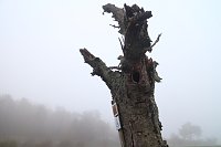 Bild: Fr&uuml;hjahrswanderung bei Auleben