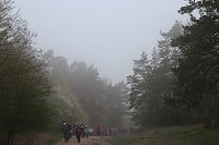 Bild: Fr&uuml;hjahrswanderung bei Auleben