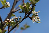 Bild: Fr&uuml;hjahrswanderung bei Auleben