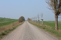 Bild: Fr&uuml;hjahrswanderung bei Auleben