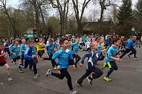 Frühjahrscrosslauf 2019 Bild: Frühjahrscrosslauf 2019