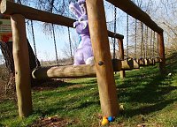 Ostereiersuche im Ilfelder Ahornpark Bild: Ostereiersuche im Ilfelder Ahornpark