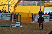 3. Hallenmeisterschaft Springreiten Bild: 3. Hallenmeisterschaft Springreiten