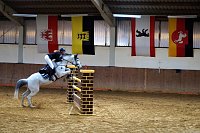 3. Hallenmeisterschaft Springreiten Bild: 3. Hallenmeisterschaft Springreiten