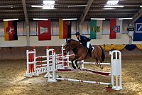 3. Hallenmeisterschaft Springreiten Bild: 3. Hallenmeisterschaft Springreiten