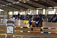 3. Hallenmeisterschaft Springreiten Bild: 3. Hallenmeisterschaft Springreiten