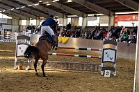 3. Hallenmeisterschaft Springreiten Bild: 3. Hallenmeisterschaft Springreiten