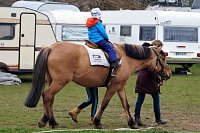 3. Hallenmeisterschaft Springreiten Bild: 3. Hallenmeisterschaft Springreiten