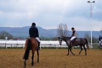 3. Hallenmeisterschaft Springreiten Bild: 3. Hallenmeisterschaft Springreiten