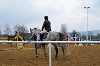 3. Hallenmeisterschaft Springreiten Bild: 3. Hallenmeisterschaft Springreiten