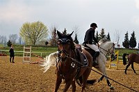 3. Hallenmeisterschaft Springreiten Bild: 3. Hallenmeisterschaft Springreiten