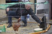 Bild: 1. Echter Nordh&auml;user Ostermarkt