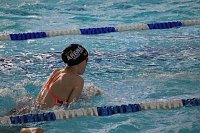 Nordhäuser Schwimmer zu Gast in Erfurt Bild: Nordhäuser Schwimmer zu Gast in Erfurt