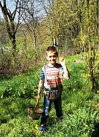 Bild: Ostereiersuche im Ilfelder Ahornpark