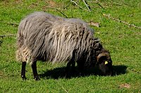 Ostern am Neustädter Gondelteich Bild: Ostern am Neustädter Gondelteich