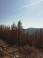 Bild: Erlebnis der besonderen Art