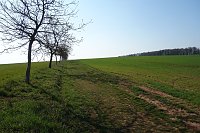 Bild: Von Salza in Richtung Herreden
