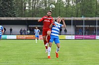 Bild: 2:1 gegen Bautzen gewonnen